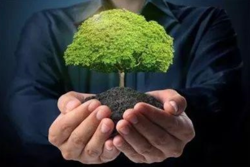 在线教育培训系统哪家最好?如何识别靠谱的系统平台